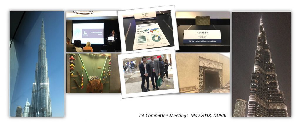 IIA Guidance Development Committee Meetings 1 Alp Buluc uluslararasi ic denetciler enstitusu Mayis2018 DUBAI - IIA Guidance Development Committee Meetings - 2025 -