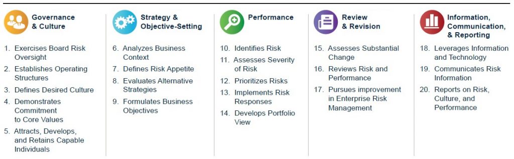 Teolupus Risk Management Components Principles - Integrating COSO ERM with Strategy for Success - Enhance Performance - 2025 - COSO ERM