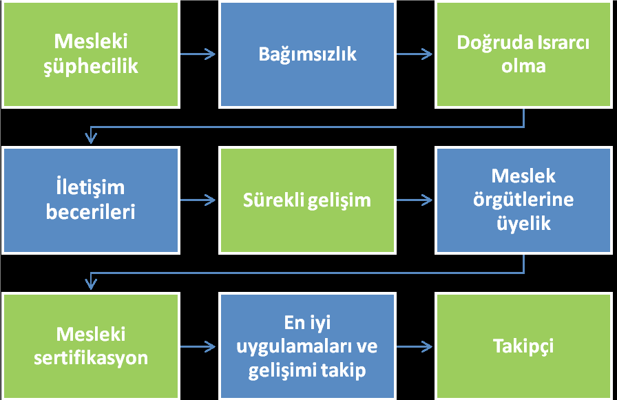 Ic Denetcinin Ozellikleri - İç Denetçinin Özellikleri - 2025 -
