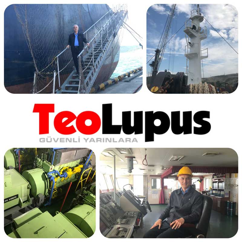 Kapsamlı İç Denetim Projesi: Gemi İşletmeciliği