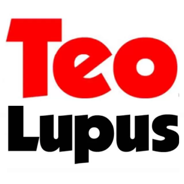 Good Understanding Of Internal Control TeoLupus Good Understanding Of Internal Control Teolupus